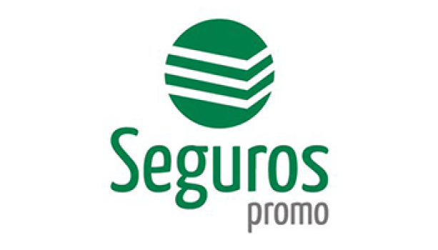 A Seamless Experience with Seguros Promo