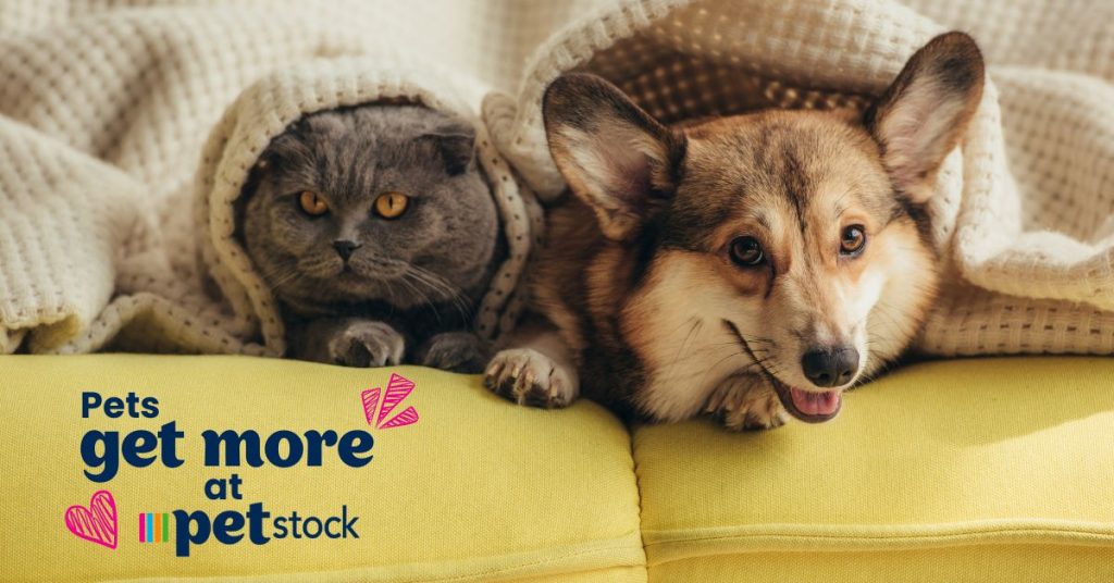 Petstock